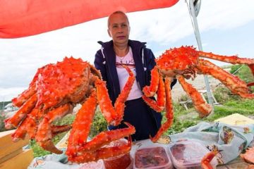 Как живет «увязший в проблемах» Сахалин с точки зрения западных СМИ