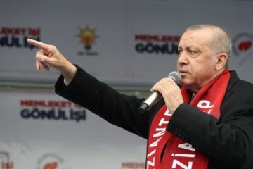 Ввод войск в Ливию подтвердил развитие отношений Турции с террористами ПНС