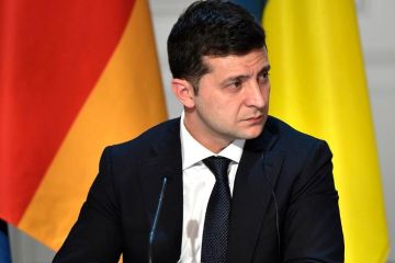 Зеленский признал Крым российским ради Dr. Alban