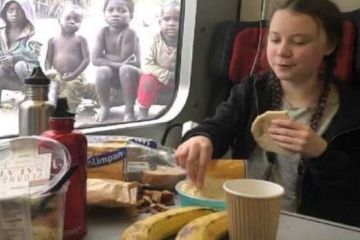 Грета Тунберг сдулась, не успев взлететь. Ирина Алкснис