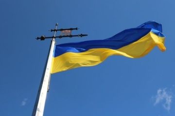 В МИД России признались, что очень встревожены «ползучей героизацией» неонацизма на Украине