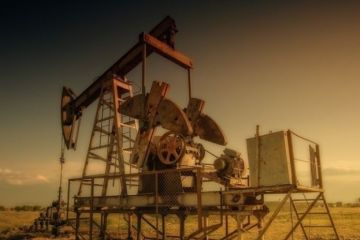 Мировая конъюнктура глобальных рынков в 2020 году обеспечит России сверхприбыль