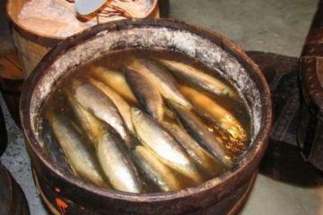 Цены на сельдь выросли: Кремль и капиталисты забыли о пролетарской рыбе, мечтая об улитках