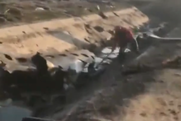 Политолог Суздальцев объяснил катастрофу украинского Boeing в Иране эвакуацией Запада