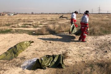 Украинские «патриоты» бездоказательно обвинили в крушении Boeing 737 Россию и Иран