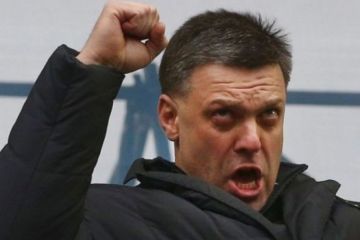 Тягнибок обвинил Россию в крушении украинского Боинга над Ираном