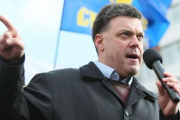 Лидер украинских нацистов Тягныбок обвинил Россию в крушении самолета МАУ в Иране