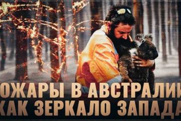 Позор государственной власти, позор системы! Пожары в Австралии, как зеркало Запада