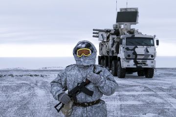 «Япония отмечает рост военной активности России в Арктике и на Дальнем Востоке»(Видео)
