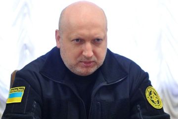 Гаспарян назвал предсказуемой реакцию «отпетого русофоба» Турчинова на трагедию «Боинга»