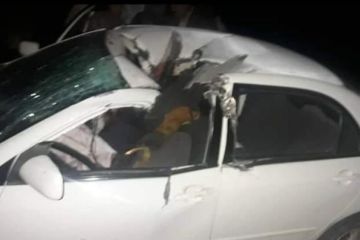 Летающая бритва: ракету с лезвиями впервые применили в Афганистане