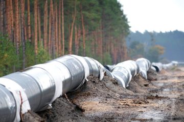 Американские санкции против «Северного потока-2» вызвали негодование Берлина