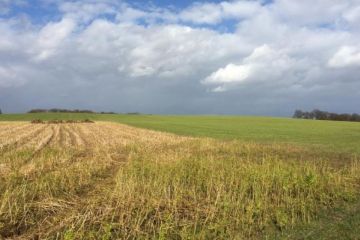 У Зеленского обеспечили иностранцам доступ к рынку земли – источник озвучил две ключевые схемы