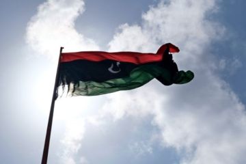 Коновалов: встреча по Ливии в Москве стала победой российской дипломатии