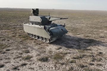 Новейшие зенитные самоходки турецкого производства замечены в Ливии