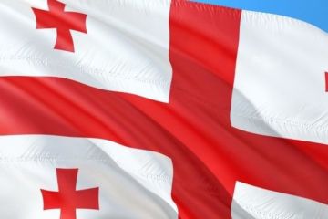 Грузия делает фундаментальную ошибку в игре на "улучшение отношений" с Россией