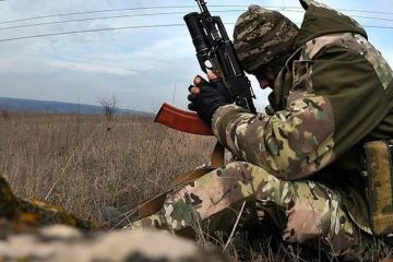 Раскрыты данные о потерях армии Украины за неделю боевых действий