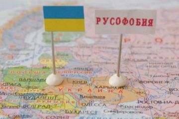 Почему жители Украины не борются за свои языковые права?