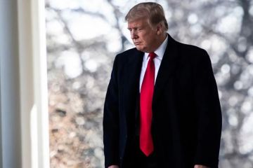 Жажда демократов сместить Трампа оборачивается серьезным ущербом для США – в Вашингтоне призывают одуматься