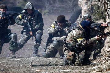 Жертвы с обеих сторон: на Донбассе произошло более 10 столкновений радикалов и ВСУ за неделю