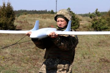 Провокация сорвана: защитники Донбасса «угнали» вражескую «Фурию»