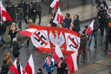 Почему Польша наехала на Россию