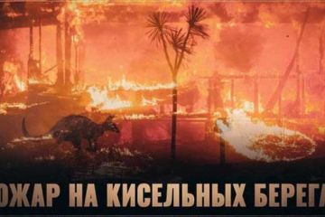 Пожар на кисельных берегах. О Сыне маминой подруги из Нормальной страны