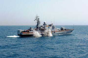 Военные Украины готовятся к минированию побережья Азовского моря