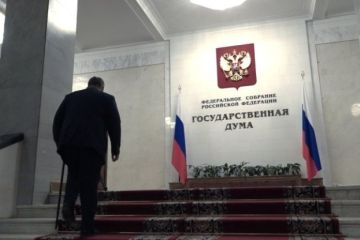 Запрет коллекторской деятельности нужно заменить пересмотром действующего закона - Ордов