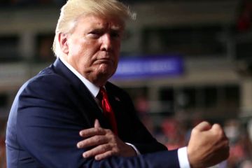 Неугомонный Трамп, или новые приключения американских аудиторов в ВСУ