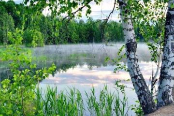 О любви....К Родине