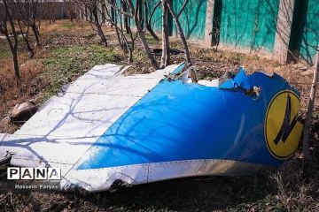 Бывший офицер ЦРУ: к крушению украинского «боинга» могут быть причастны ВВС США и Израиль