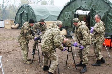 Киевские чиновники пытаются разобраться с хаосом в рядах карателей на Донбассе