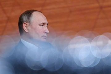 О стратегии Путина: Ловушка для кошек