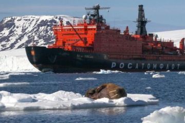 России нужен Арктический федеральный округ!