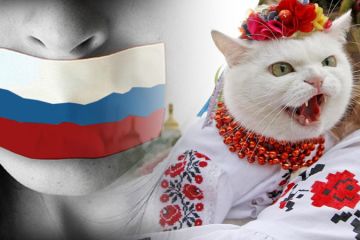 Хорошие новости из Украины: общество даёт отпор «свидомым»