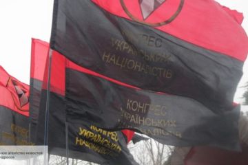 Раскрыт тайный сговор националистов с Западом - радикалы С14 исполнят особый приказ