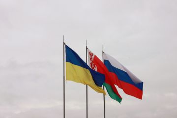 Лучший вариант объединения России, Украины и Беларуси озвучил политолог Дзермант