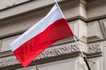 Заявления о "вмешательстве России" вскрыли предвыборные манипуляции в Польше