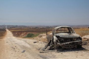 Кошкин назвал ликвидацию боевиков в провинциях Сирии главной задачей САА