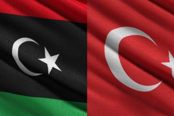 Турция помогает ПНС Ливии оружием и боевиками из-за страха потерять влияние в регионе