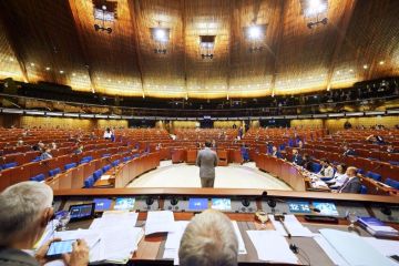 ПАСЕ, заступившись за Россию, указала Украине и Прибалтике на их место