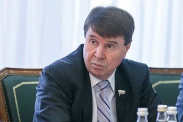 Цеков: России нужно разработать уникальные меры противостояния общественным беспорядкам