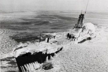 Зачем Сталин искал в Антарктиде секретную базу Третьего рейха