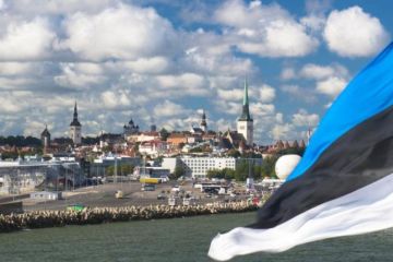 Жители Псковской области заявили, что не отдадут Эстонии ни пяди земли