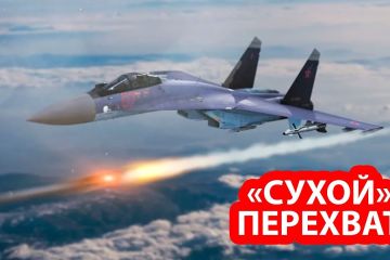 Российские Су-35 перехватили турецкие истребители в небе над Сирией