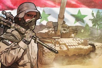 Сотрудничество с Россией и Сирией — единственный выход для Турции