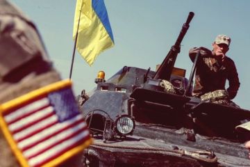 У Вашингтона оказались собственные планы на киевских карателей