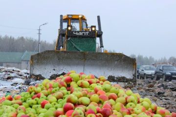 На границе РФ была задержана очередная партия польских яблок из Беларуси