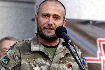 Сначала революция в Донецке, затем – прорыв фронта: Ярош призвал к тотальной мобилизации